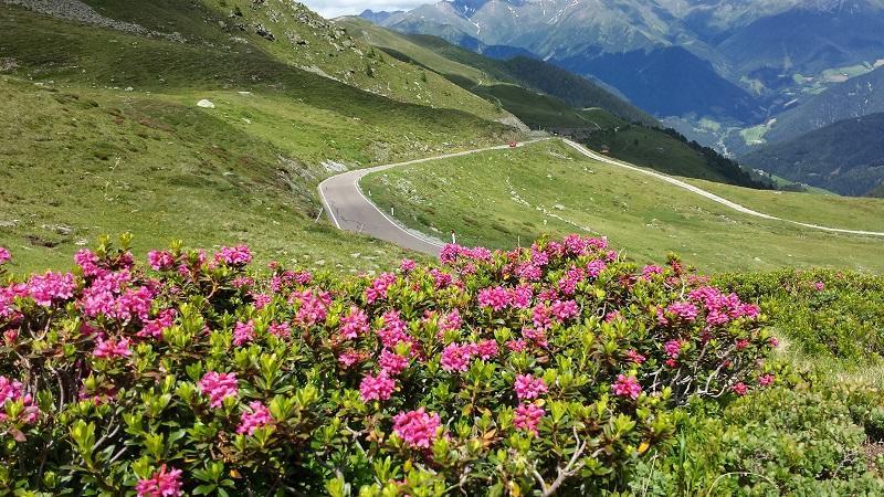 Pension Schönblick Campo di Trens Exteriör bild